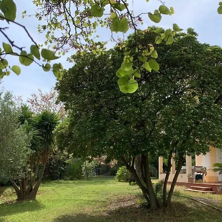 Σπίτι διακοπών Garden House 5 Mins From Port Sanary-sur-Mer